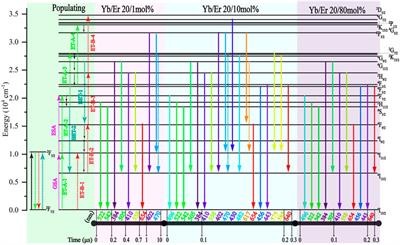 The effect of Er3+ concentration on the kinetics of multiband upconversion in NaYF4:Yb/Er microcrystals